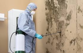 Best Comprehensive Air Testing for Mold Contaminants  in Pinehurst, ID